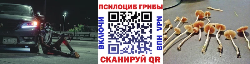 Галлюциногенные грибы прущие грибы  где можно купить наркотик  Холм 